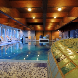 wellness pool 1