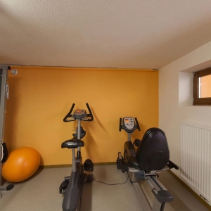 0aa43475f88fe7be5816a680de696d099dcd1e17-fitnessraum2-hotel-alpi