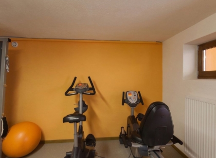 0aa43475f88fe7be5816a680de696d099dcd1e17-fitnessraum2-hotel-alpi