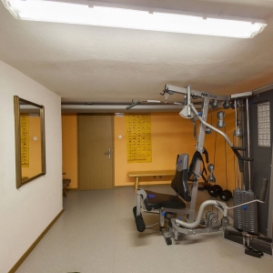 3159535a18e75ad02157cfc9d196593033498535-fitnessraum3-hotel-alpi