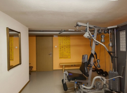3159535a18e75ad02157cfc9d196593033498535-fitnessraum3-hotel-alpi