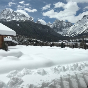 View from the Dining room