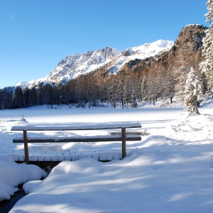 Passo San Pellegrino (2)