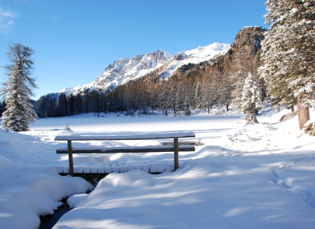 Passo San Pellegrino (2)