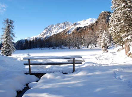 Passo San Pellegrino (2)