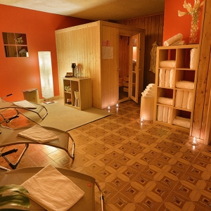 Hotel Loredana - Livigno - Area benessere (5)