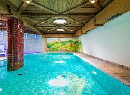 gallerie-presentazione-hotel-salvan-piscina-2_1100x730-1100x960