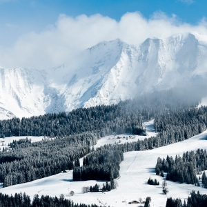 Tree-lined-ski-runs-and-Mont-Blanc-above-Saint-Gervais