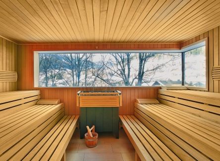 csm_sauna-wellnesshotel-nockresort-bad-kleinkirchheim-01_104beda1c0