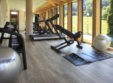 palestra